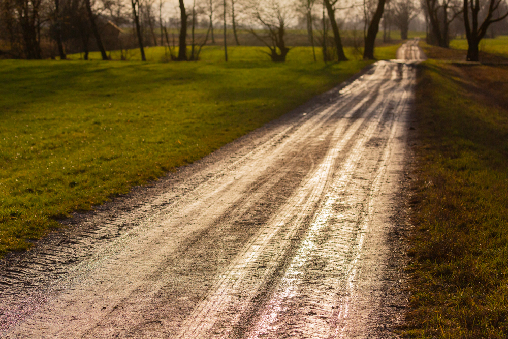 Lauteracherried im Jänner 74